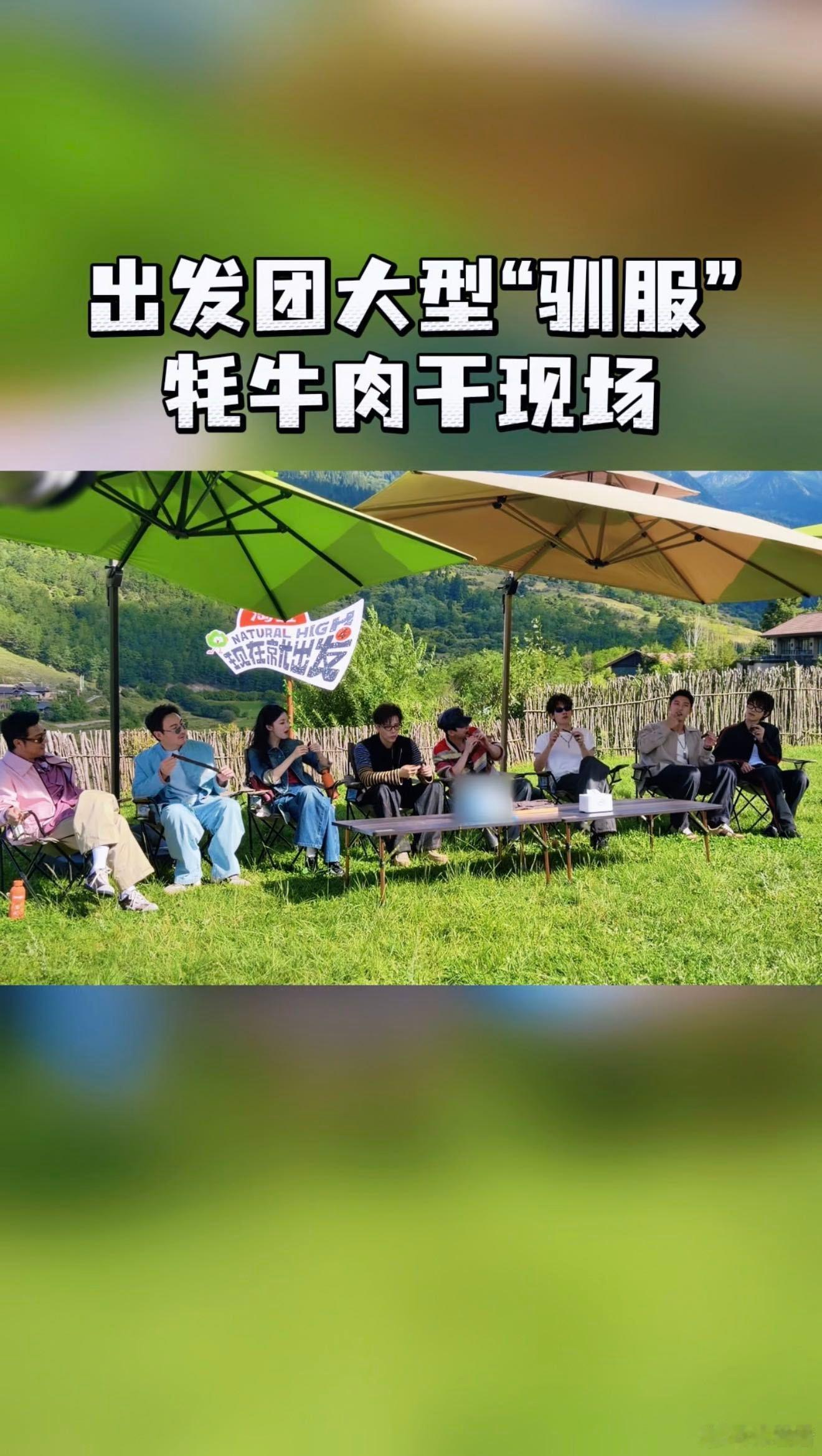 现在就出发4路透就这个味儿正 看他们为了牦牛干使出浑身解数，突然觉得旅行里最珍贵