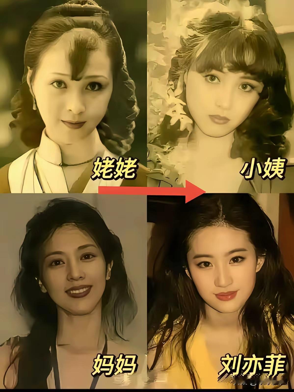 看照片能理解
刘亦菲说的她是她们家最丑的。
觉得妈妈是最美的