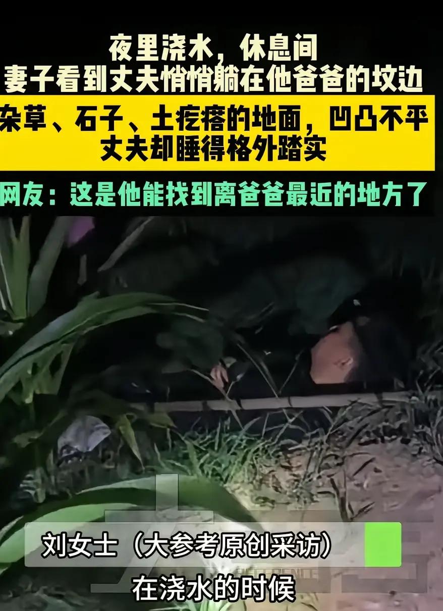 这一幕，看得人心头泛酸！河北，妻子夜里起来给地里浇水，却看到丈夫躺在公公的坟边睡