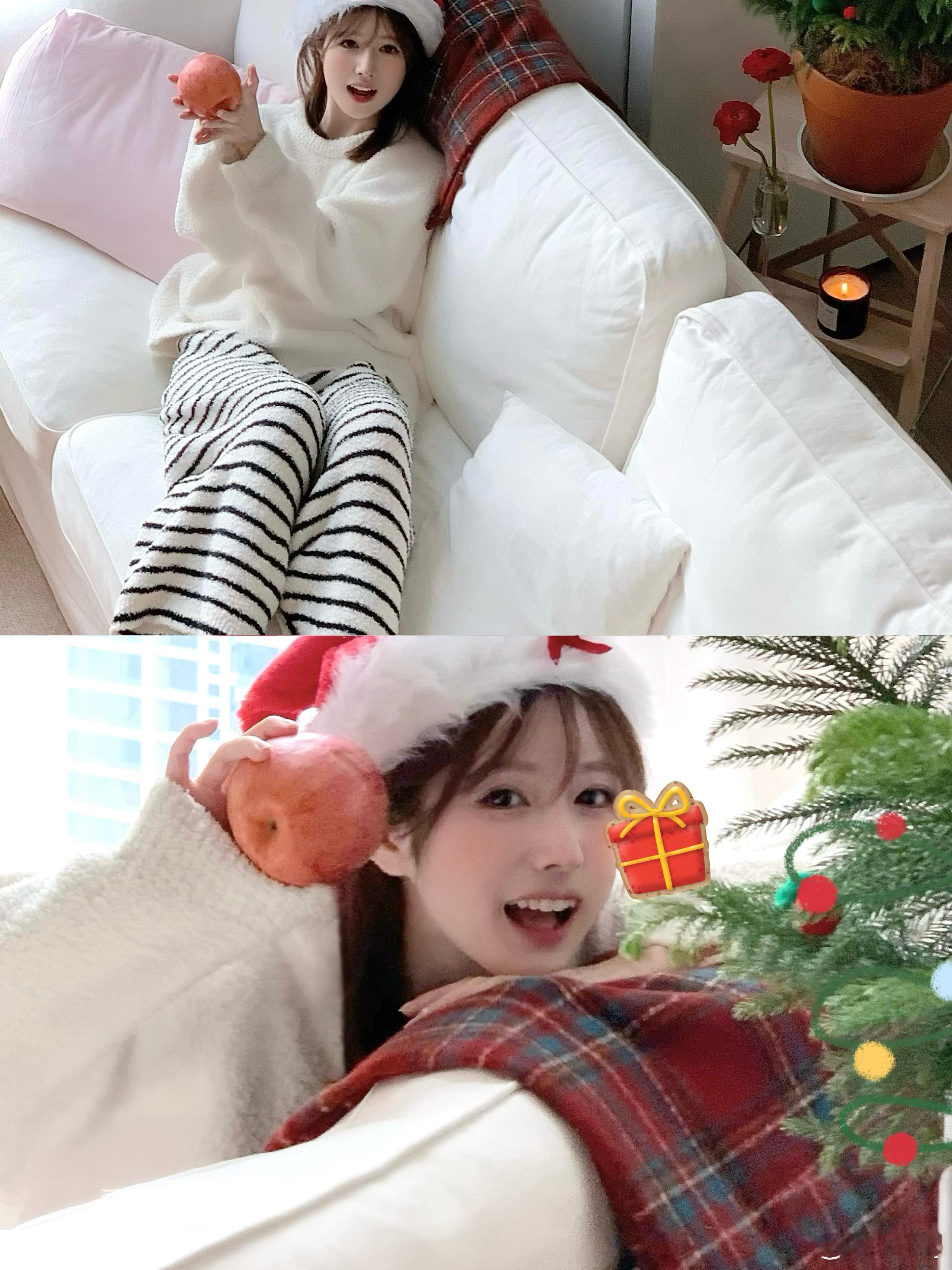 🌲 🍎 
