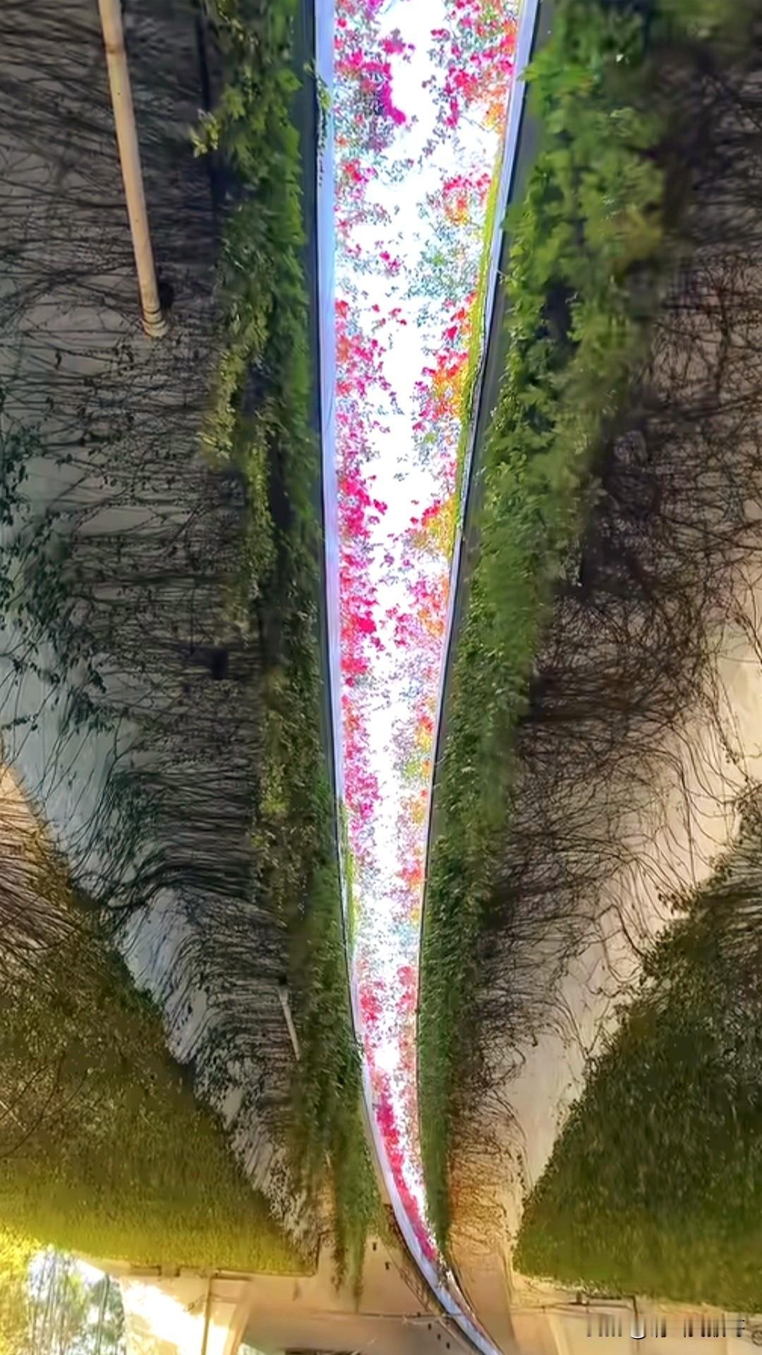 你第一眼会看成什么？