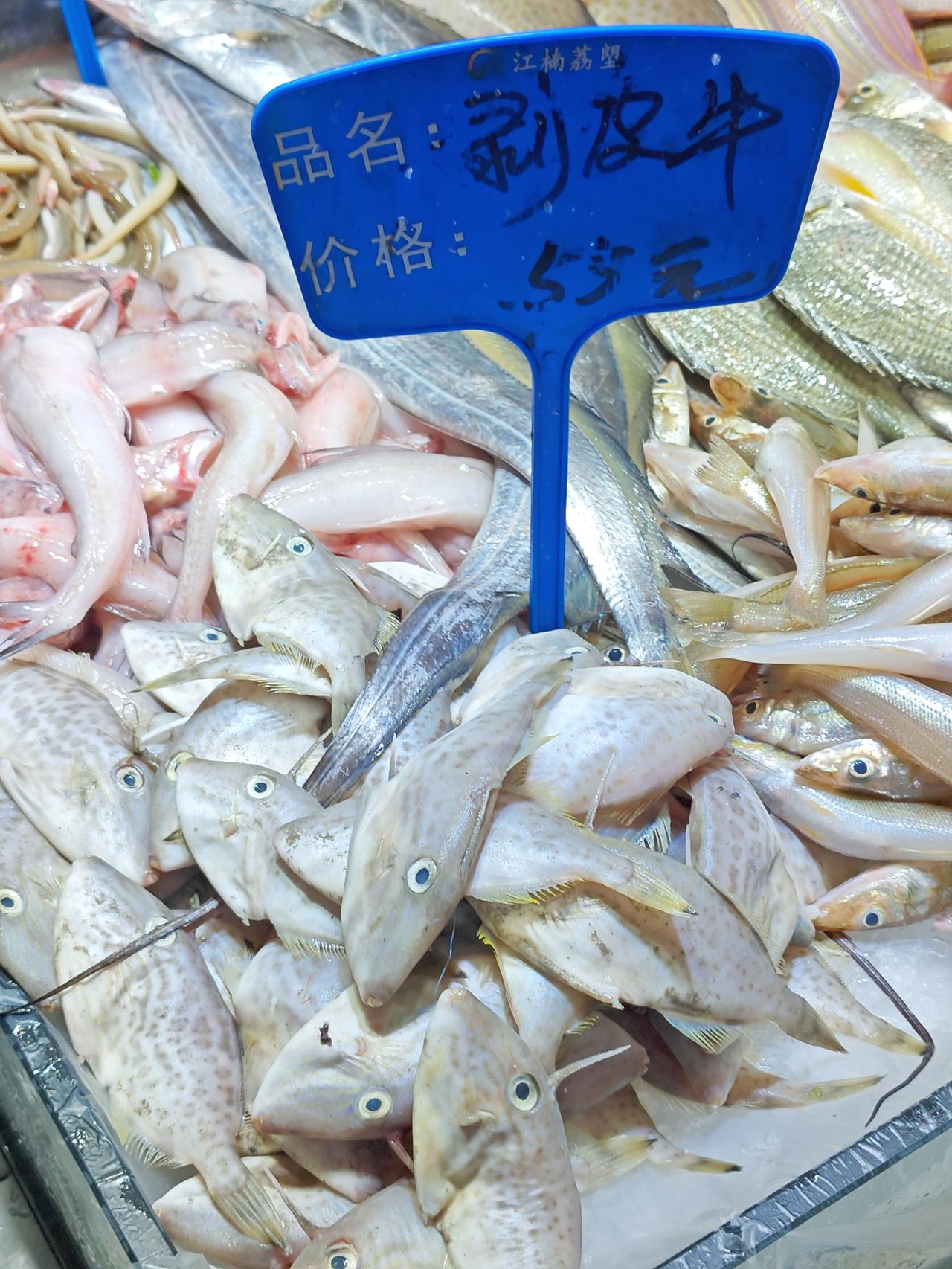 耗儿鱼卖到55一斤了，不知说什么好！