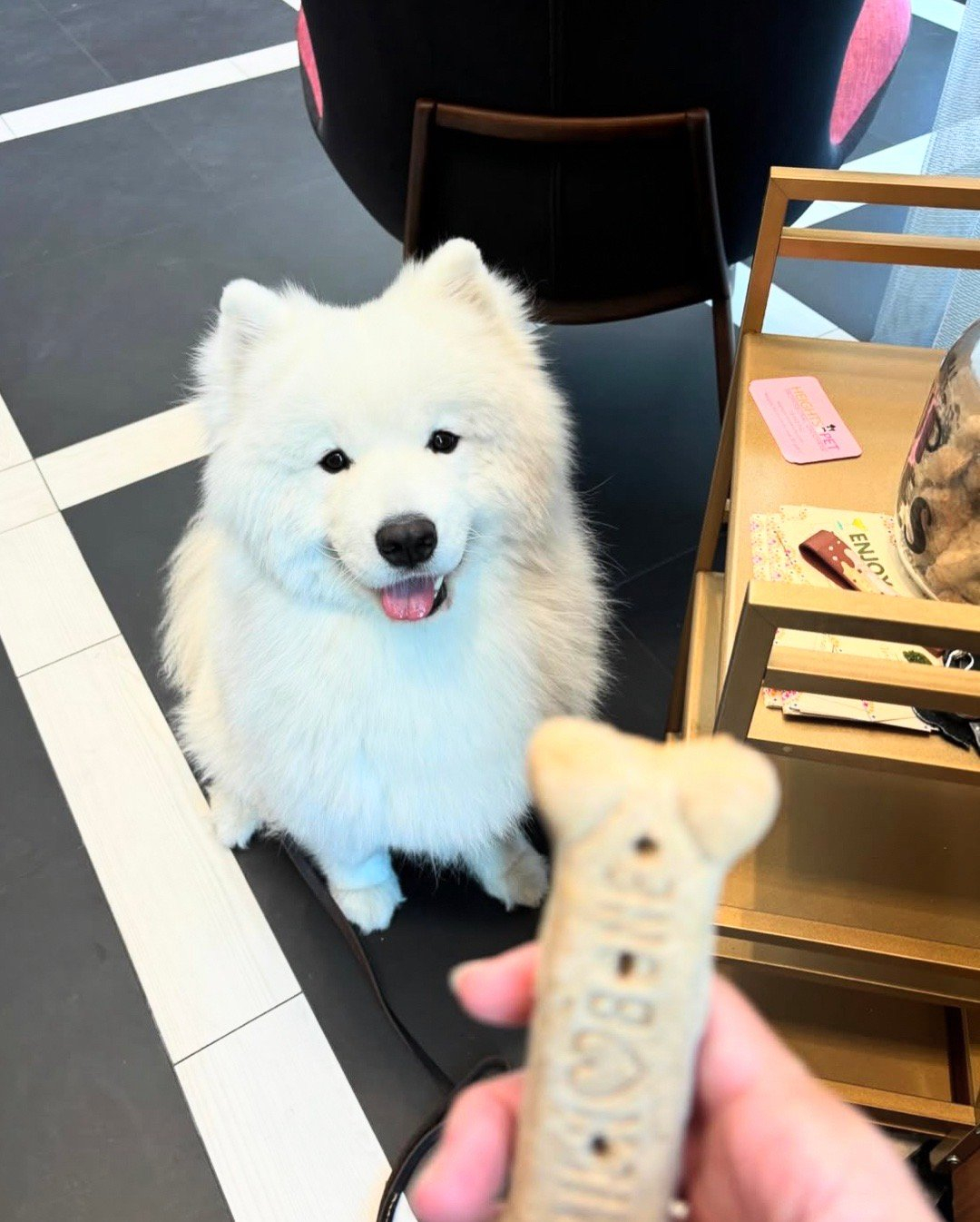 姨姨，我不是那种一块美味的小饼干就能骗走的小狗 