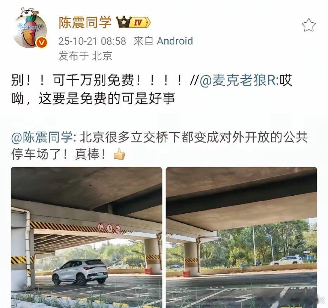 把立交桥下面的空间改造成停车场，可以缓解停车难的问题。非常赞同陈震老师的观点，最