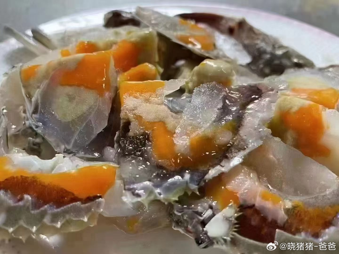 夏日鲜味冰淇淋，满口氨基酸的幸福。 