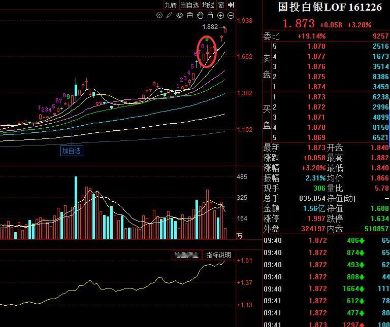 上周记得不？我去排队买白银差了些，错过之后觉得是T+1的就没买。然后就踏空一路过