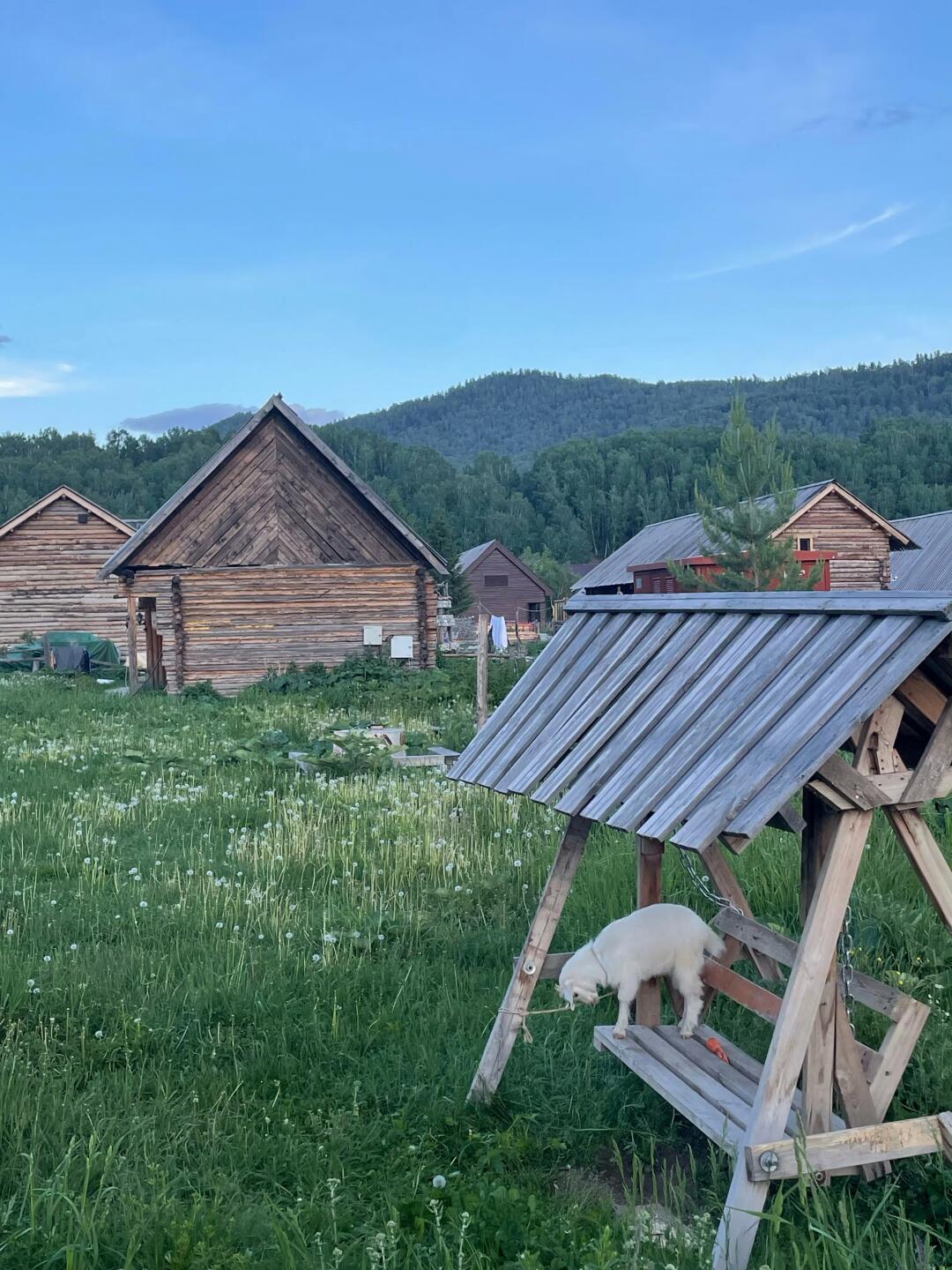 今天的快乐是住在小木屋里🛹