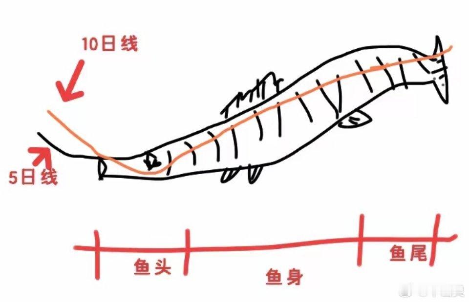 炒股通透感悟：放弃鱼头鱼尾执念，只抓鱼身确定性炒股最理想化的操作，莫过于抄底鱼头