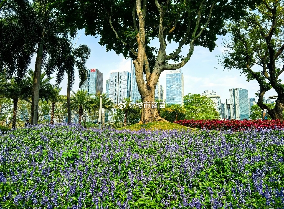 当前市场，有一条主线愈发清晰：“好房子”在政策文件里出现的频率越来越高。楼市进入