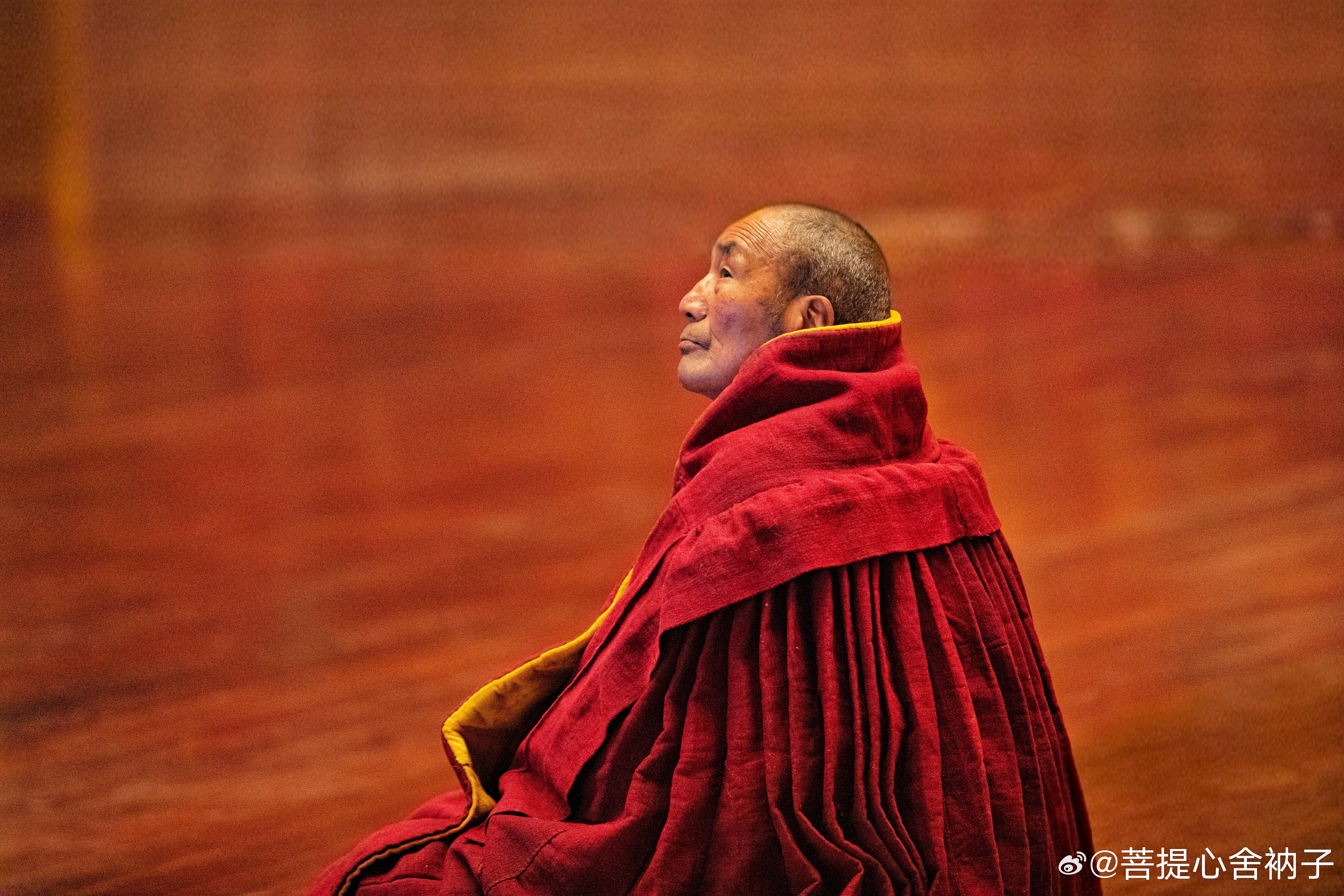 世人常误将慈悲视作软弱，实则它是发自内心的勇气。体察自他苦痛，需有韧性、耐心与明
