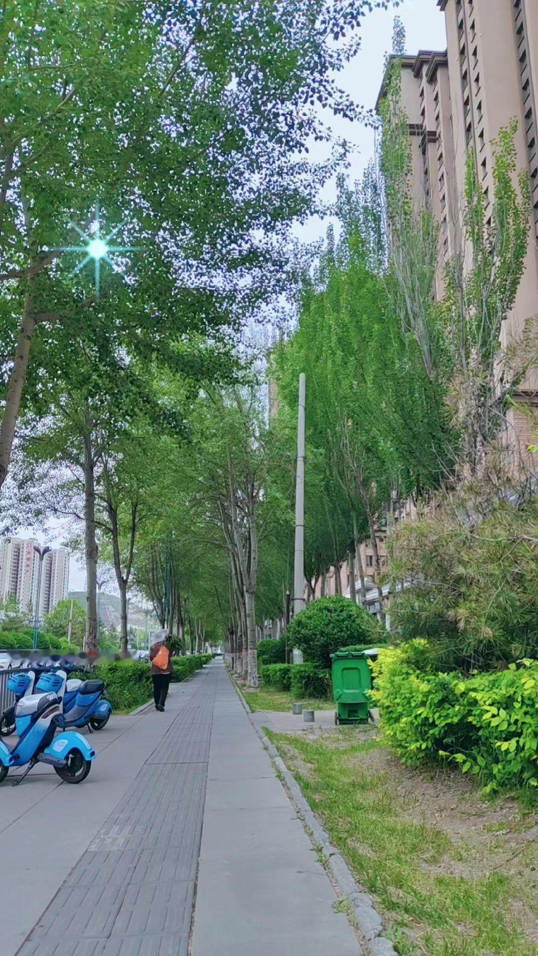 生活的口袋， 一定要装些自己喜欢的东西比如沉默。比如文字，比如音乐…