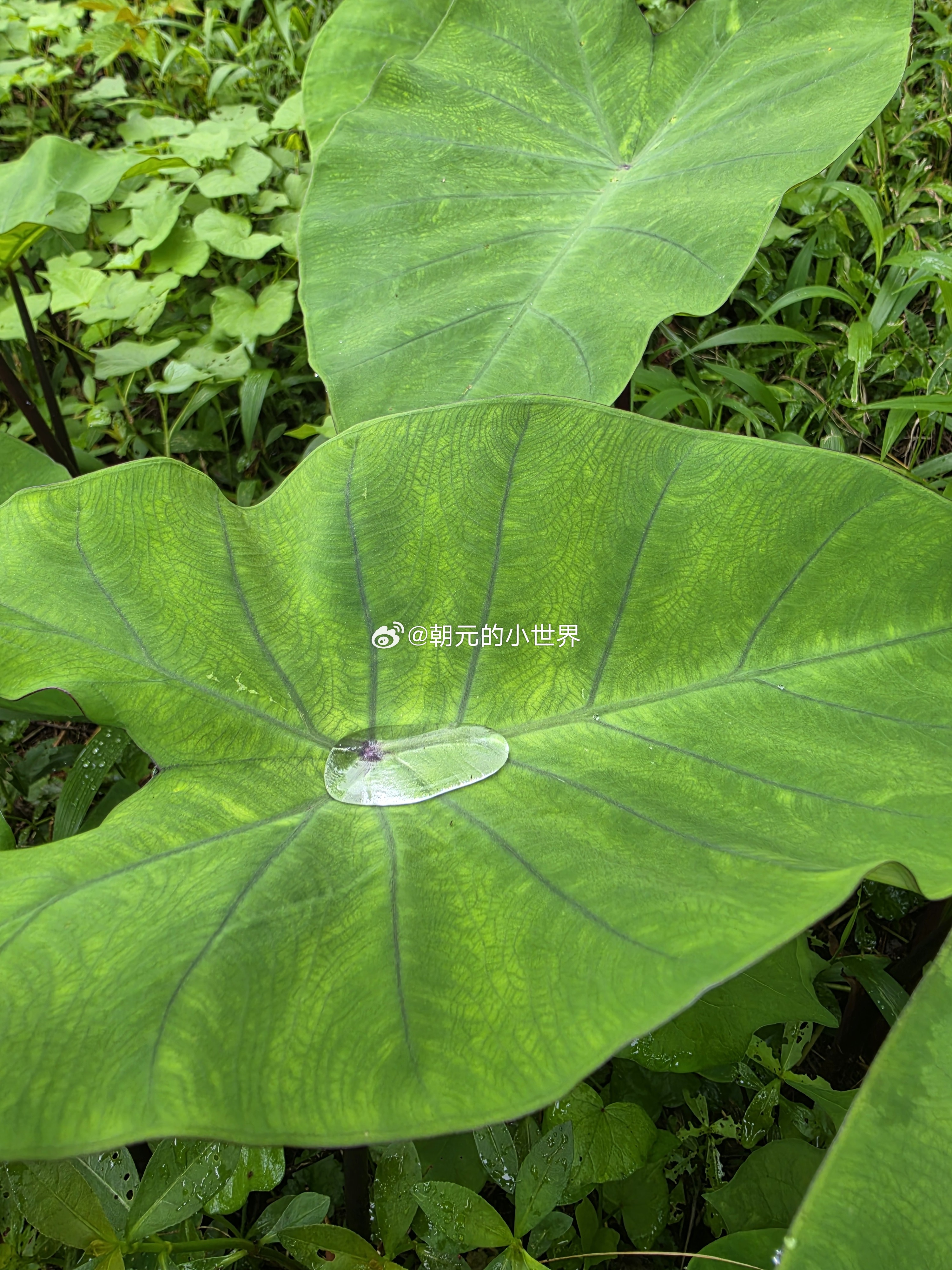 生命总有瑕疵，裂纹，纵使万般不如意，我也尽量满意我自己。其实，本就应该如此对待自