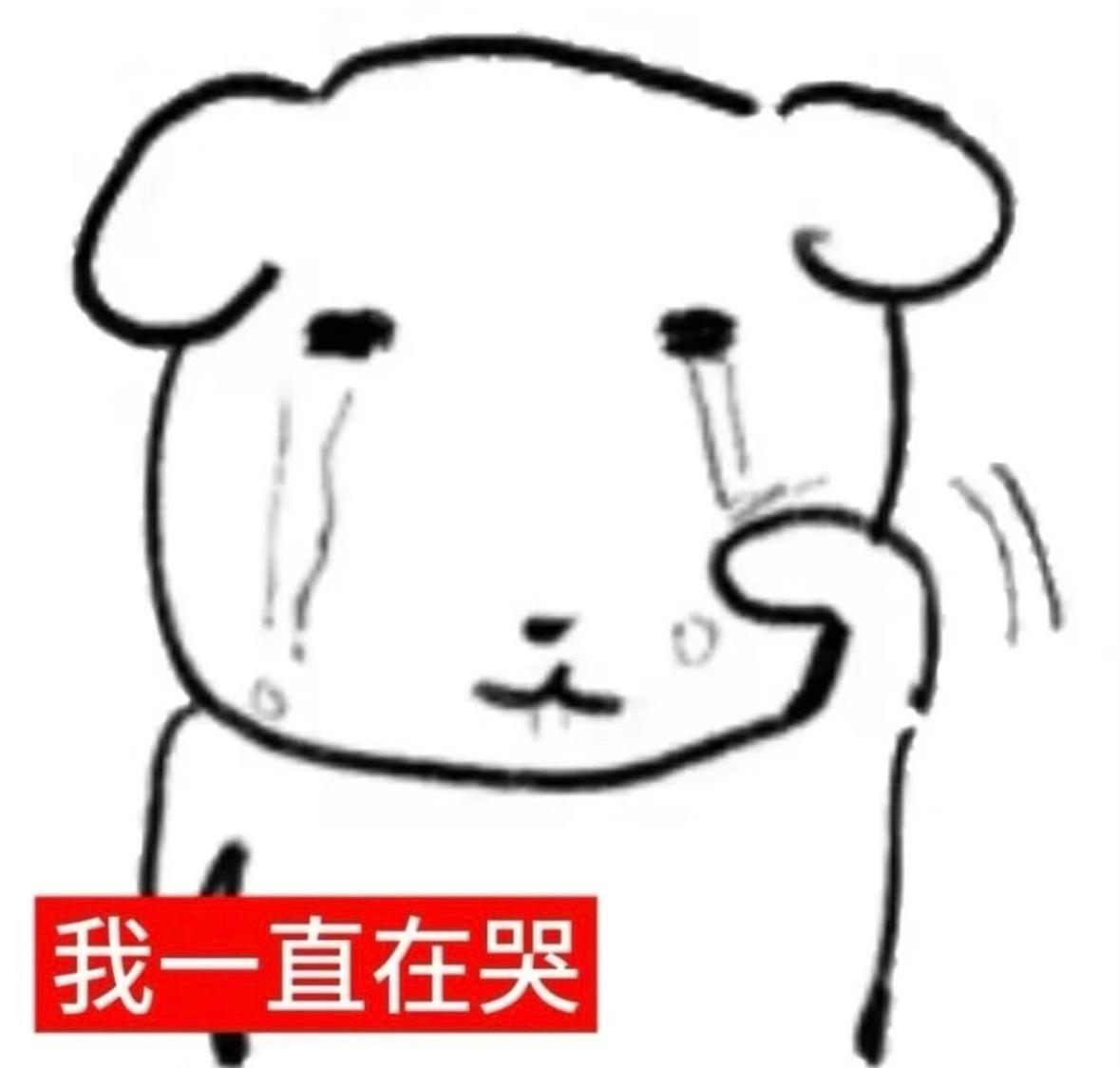 [流泪]知道粉丝昨天接机弄挺晚 今天很早 还下很大的雨 和粉丝一起淋雨拍了《我们