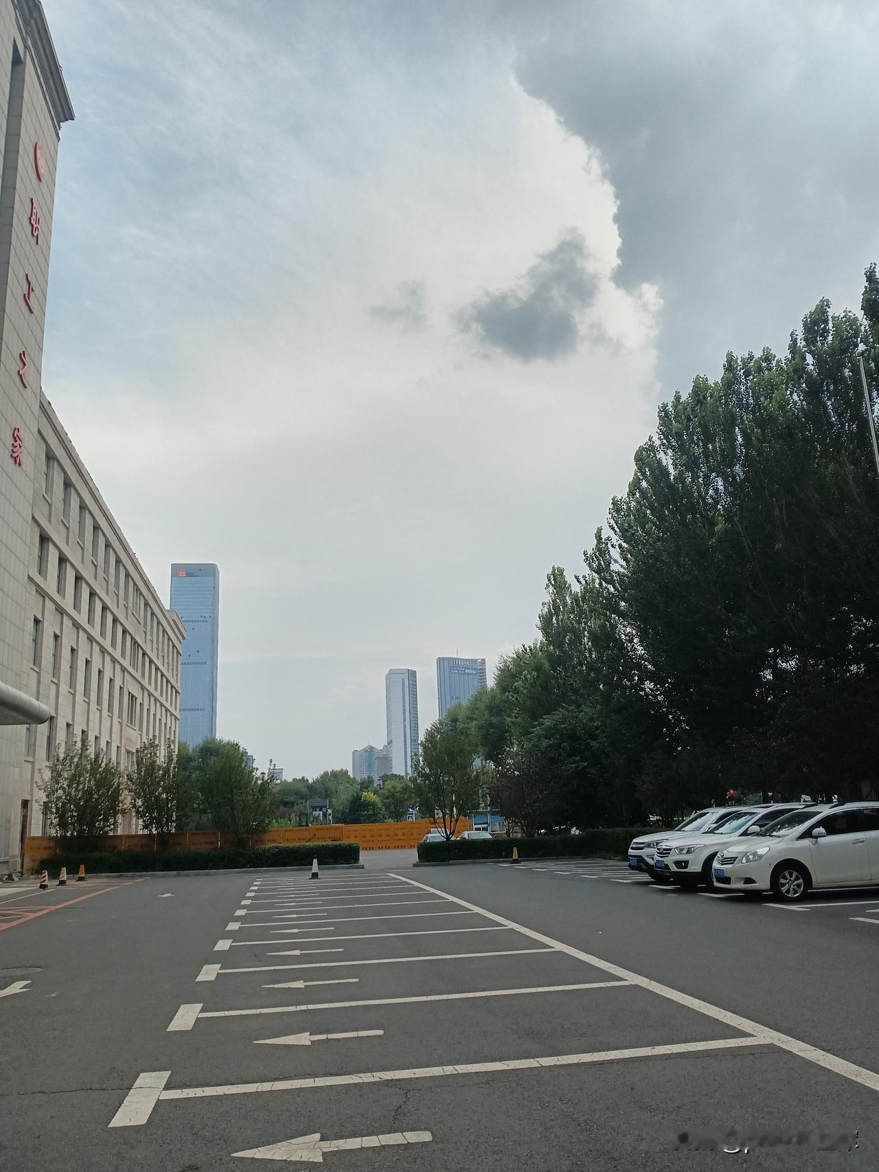 暑气散尽
今天是处暑节气，暑气渐散，秋意更浓。
这几天真的热，和夏天一样，一动就
