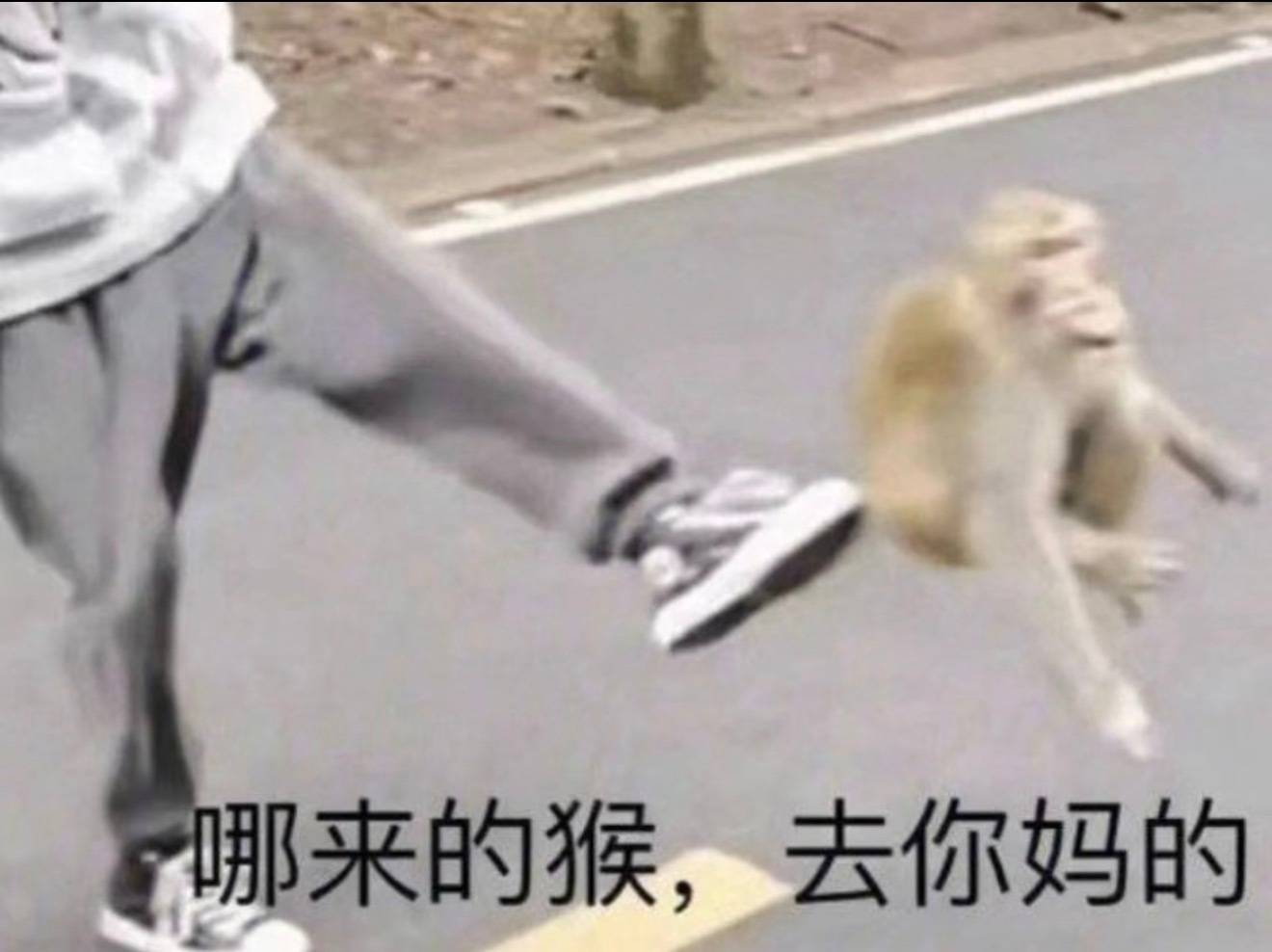 分享图片 