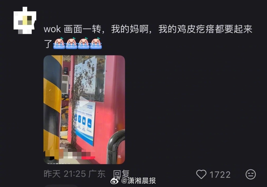【新疆一#收费站满是蜜蜂工作人员戴头罩取卡#，#收费站回应收费口盘旋大量蜜蜂#：