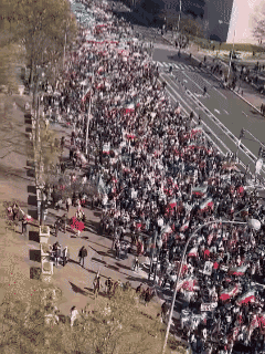 或许媒体告诉你，全美国都在游行抗议川普，还搞了个“No King"大串联
但是，