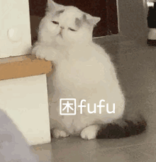 你的聊天缺这沙雕表情包？ 更新不易，拿图点赞[心]更多表情包请看主页[心] ​​