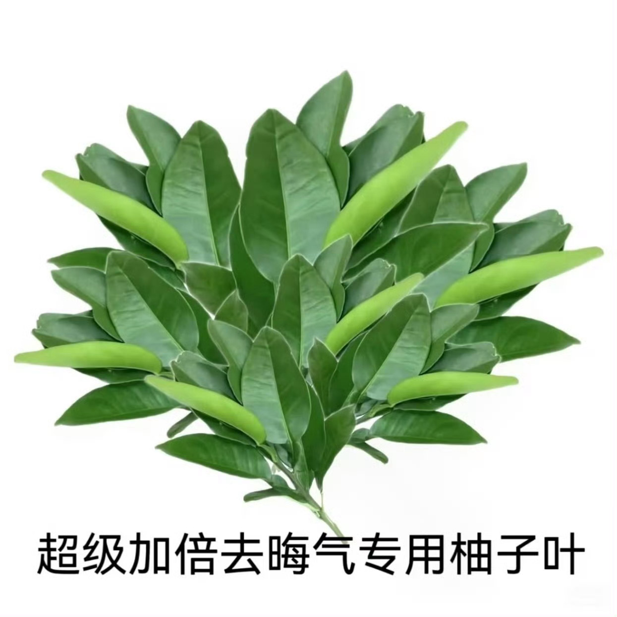 买💧都氵不过橹毛 我不知道下家哪来的勇气在那叫的 张桂源在tf家族底下kp好像