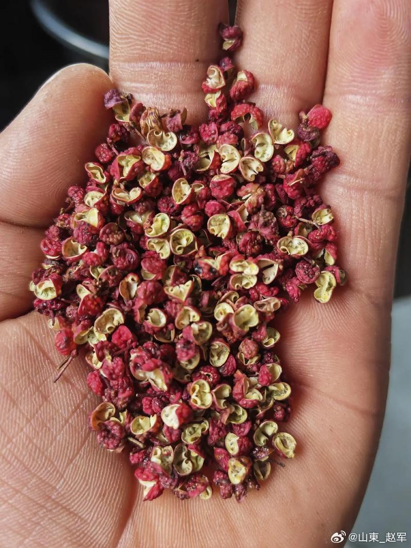一把花椒能治八种病，赶走一身湿气，80岁也无白发！说起花椒，大家第一个反应就是厨