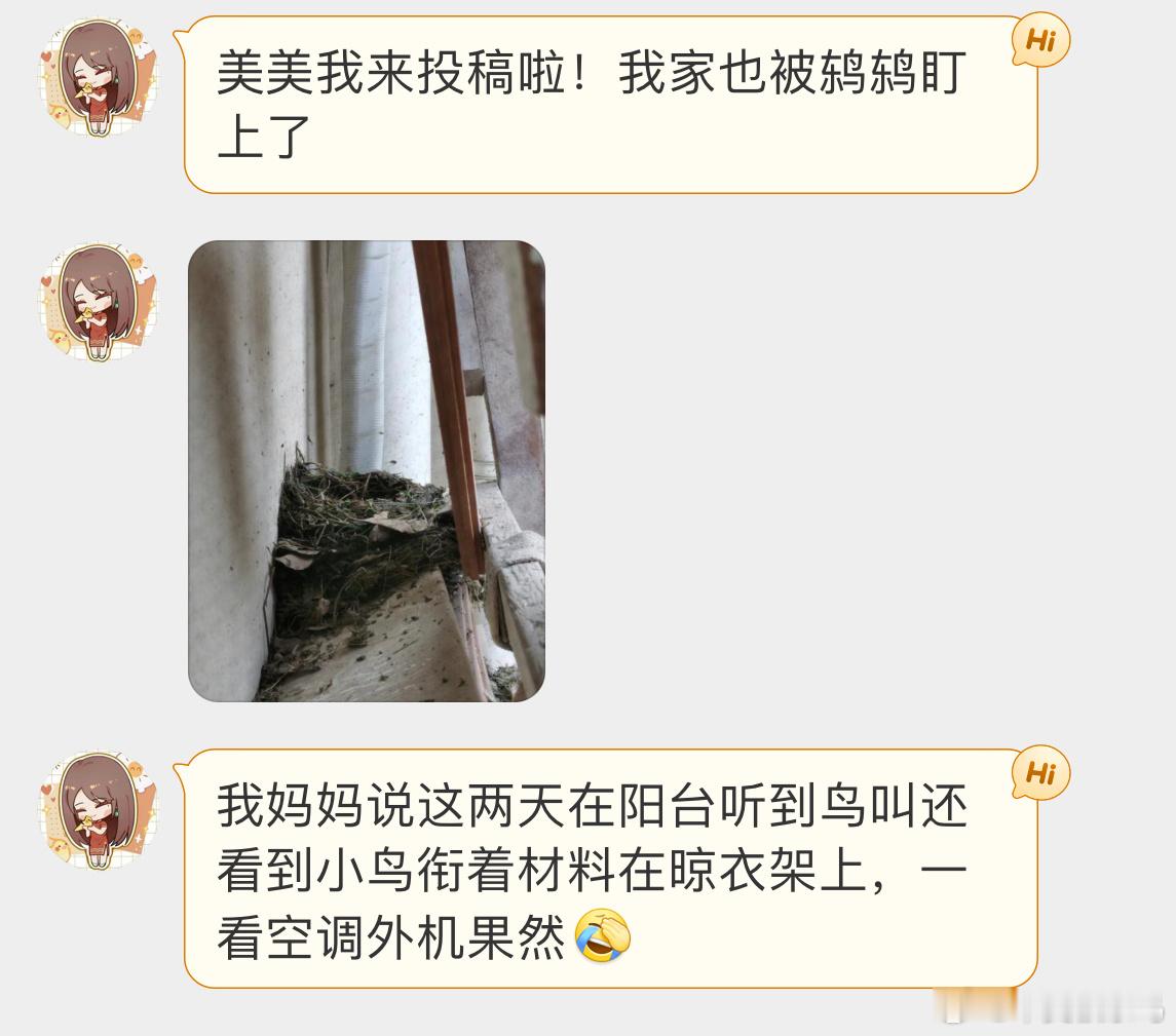 和乌鸫做邻居，好福气！！！ ​​​