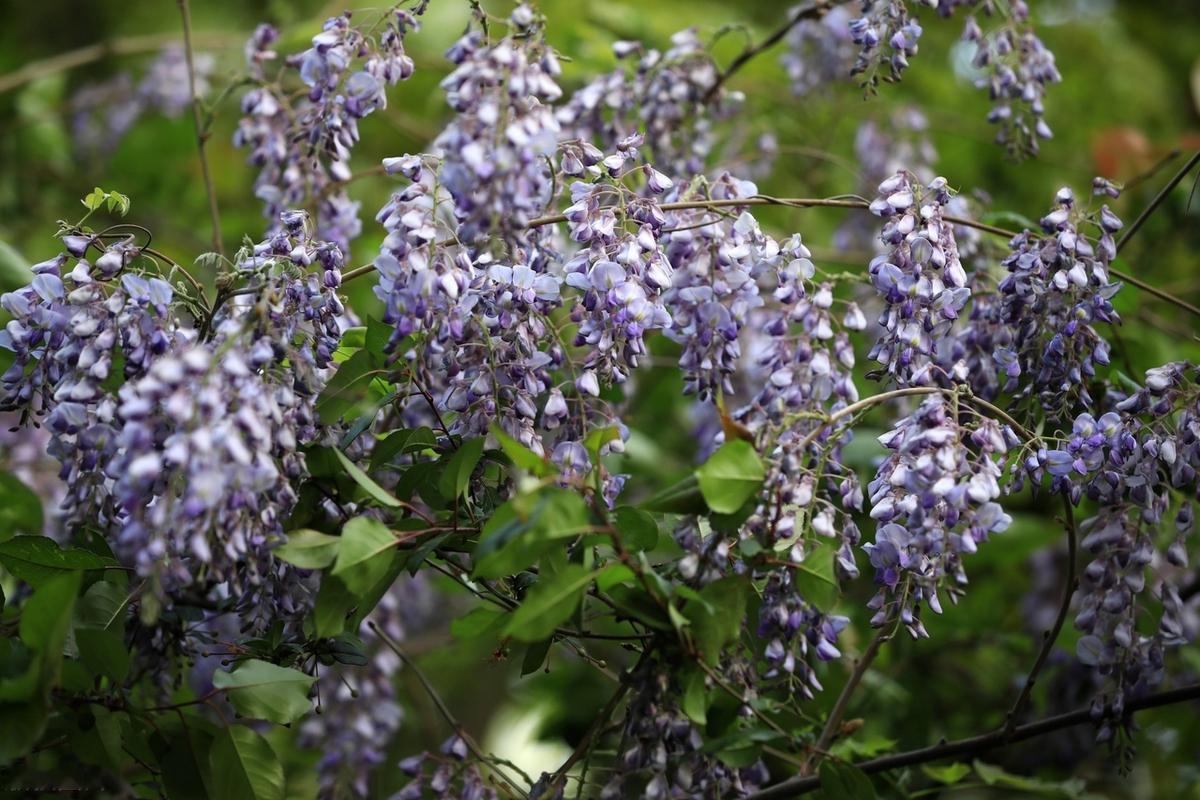 人的才华就如海绵的水，没有外力的挤压，它是绝对流不出来的。流出来后，海绵才能吸收