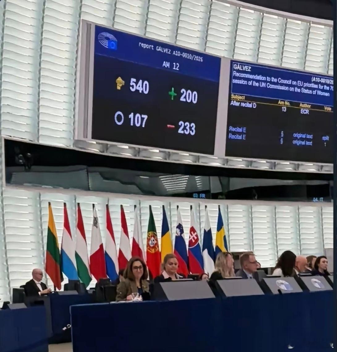 2026年2月欧洲议会就“是否只有生理女性才能怀孕”修正案进行投票结果：反对：2