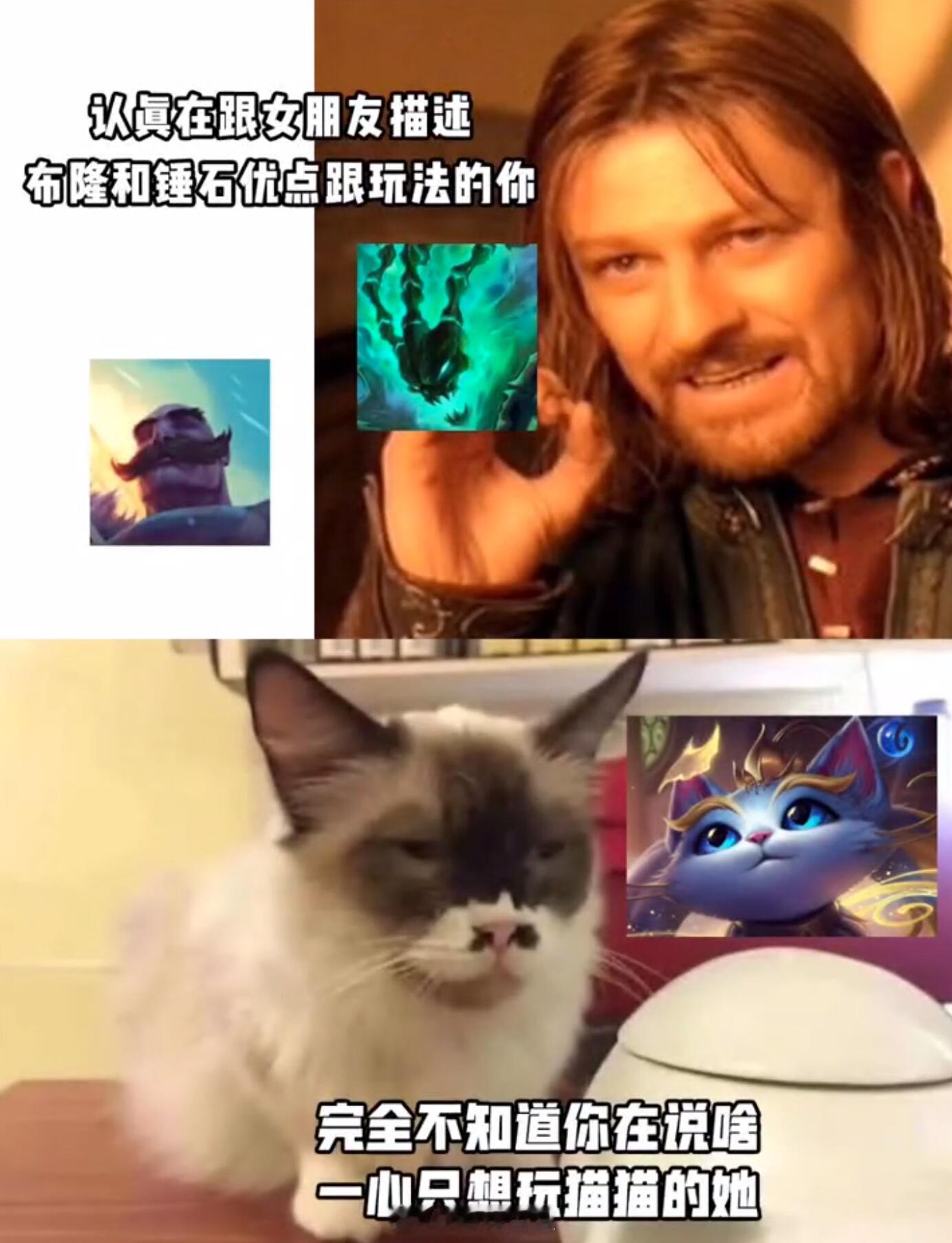女朋友：我可以根据不同的阵容选出不同皮肤的猫猫[喵喵]#英雄联盟# ​​​