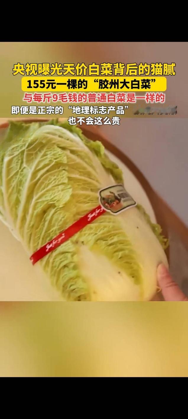 央视曝光“天价白菜”乱象 “胶州大白菜”竟与普通白菜无异

近日，央视一则调查报