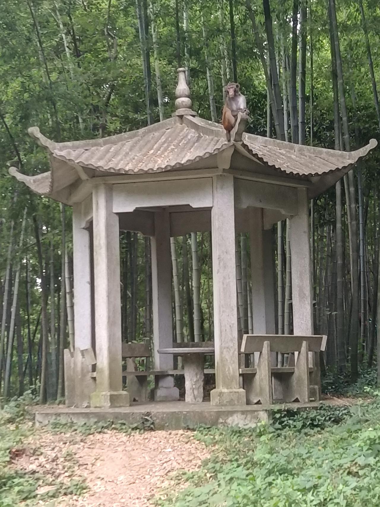 ？？？企业退休人员是按本省城镇居民月均可支配收入来算，丧葬费发2个月，抚恤金最高