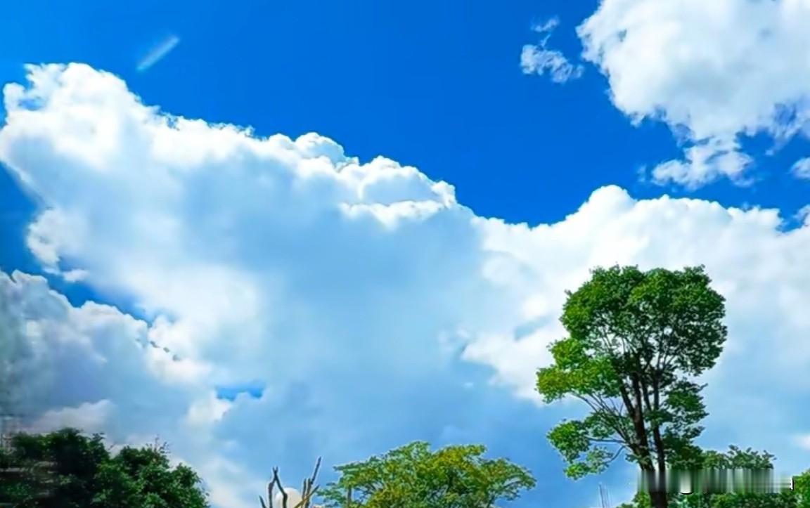 秋日生活打卡季在秋天里与自然为伴，感受秋游的浪漫，心如白云般自由，悠然自得。