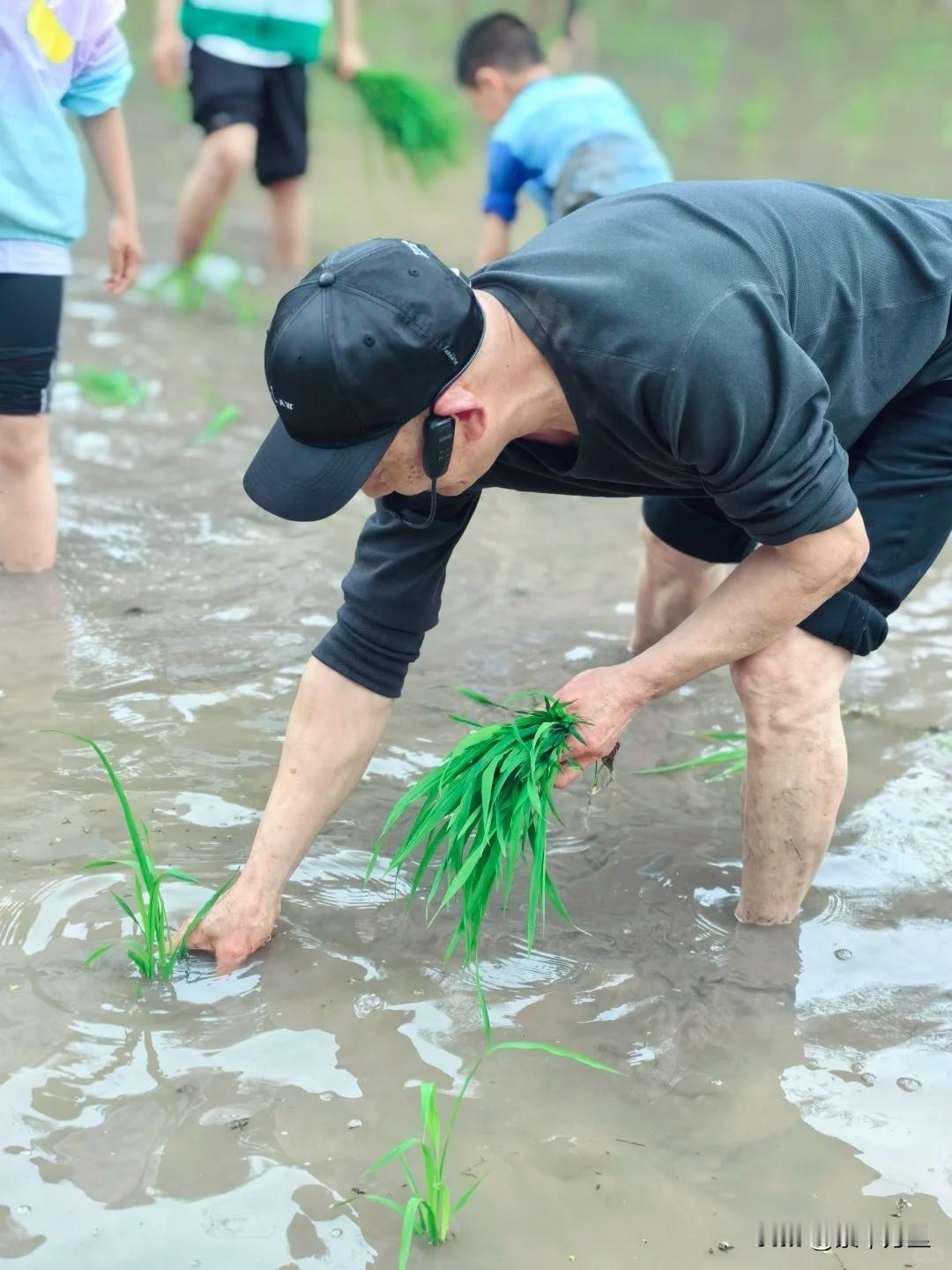 太离谱了！6名退休老领导，去乡下体验农活“春耕”，晚上在一家农家乐点了8道菜，农