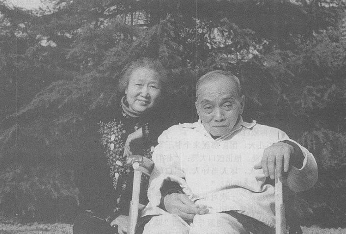 一特工卧底国民党19年，官职比毛人凤还高，暴露后用一块木板逃走。他是我党卧底在国