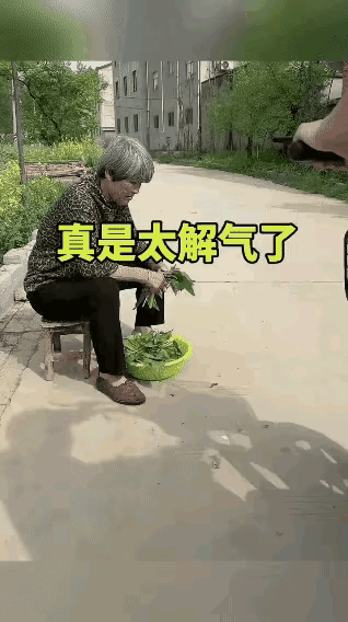 大妈吃虾从没花过钱，结果今天碰到硬茬了～😮‍💨