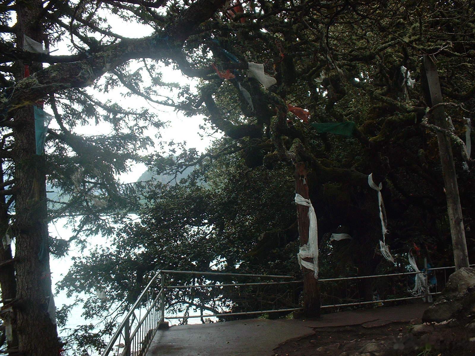 曾记否？那年秋天川藏之行的记忆。乘坐进藏列车慢慢提升海拔高度。（续二十三）尽管相