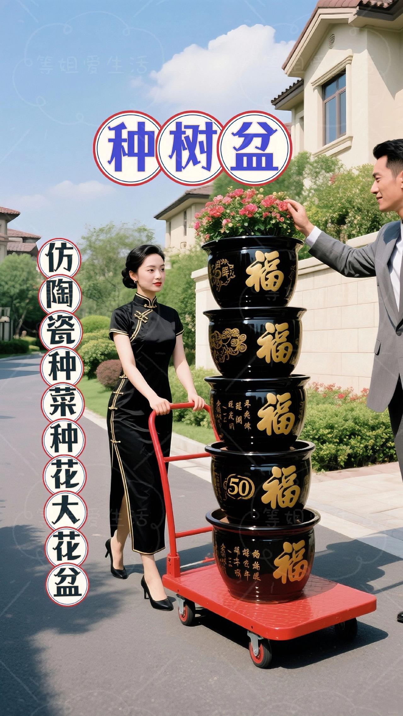 被惊艳到！大型绿植的「专属宫殿」震撼登场！
 
还在为家中大型绿植、树木找不到适