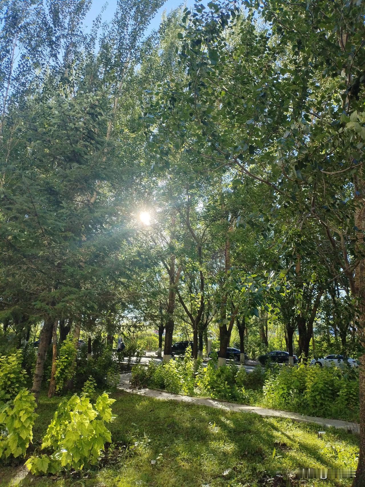 长征十号乙火箭的回收成功，在世界先进国家引起了极大的震撼，标志着我国火箭发射创造