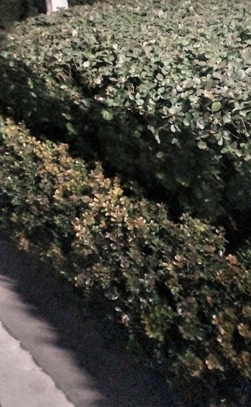 现在的品牌也太会跨界了！

蜜雪冰城居然卖起了早餐，7.9元就能get早餐奶+面