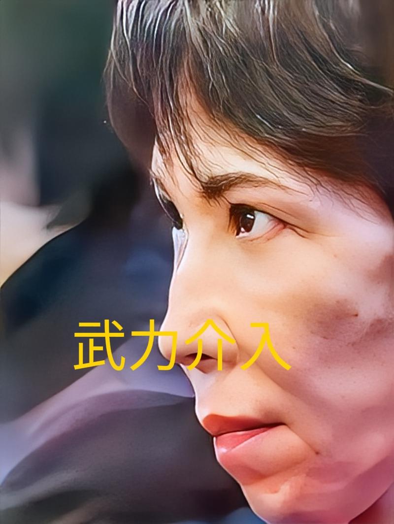 日本决定武力介入！
高市早苗称，如果大陆武力攻台，日本有权自卫。也就是说、只要大