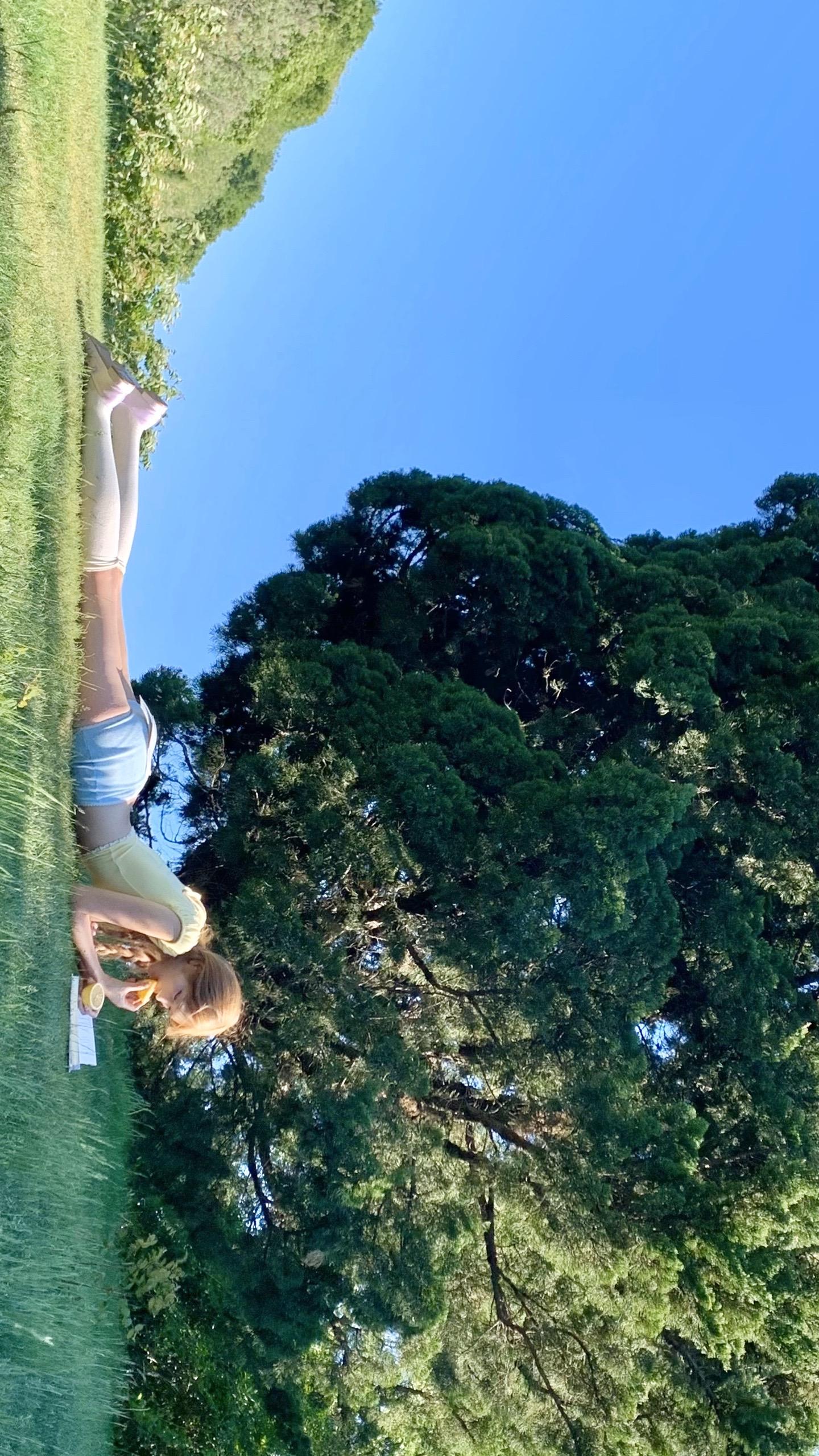 阳光 微风 草地 夏日气息