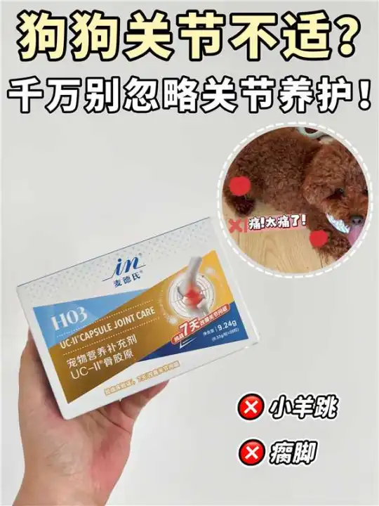 大型犬关节问题怎么办？选对软骨素是关键！