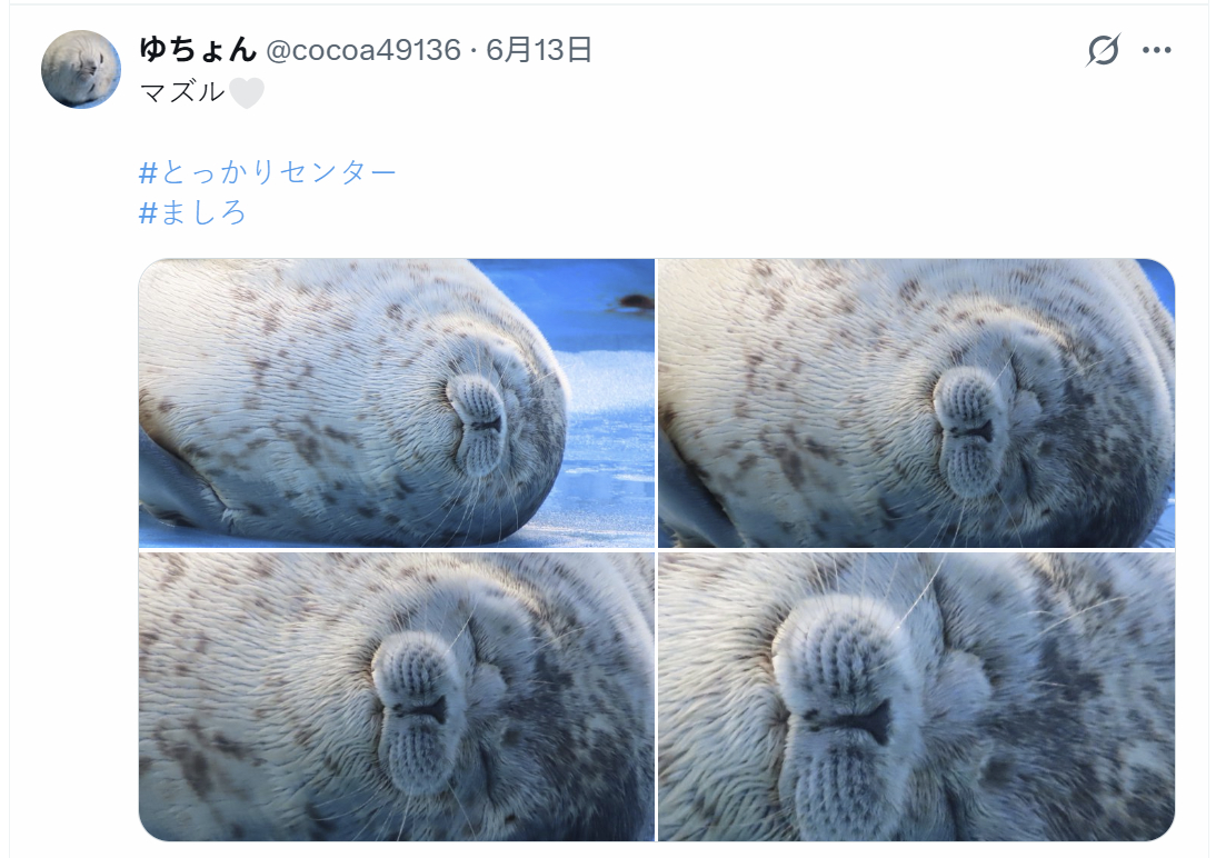 海豹 豹豹的胡子肉就是最棒的！：3 