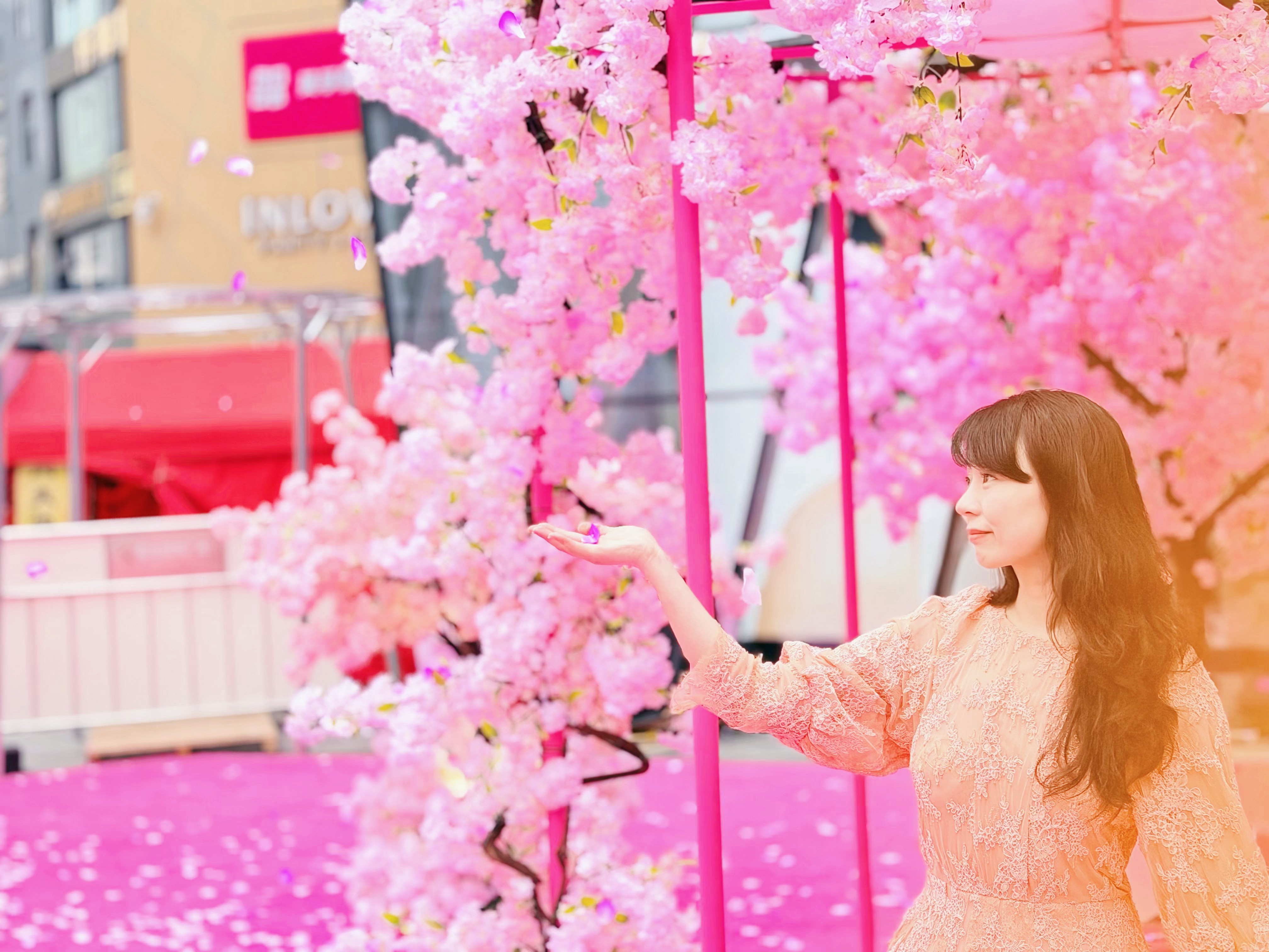 云樱醒春 赴约山城，来星光时代广场看一场浪漫樱花🌸🌸🌸在春日赴一场浪漫樱花