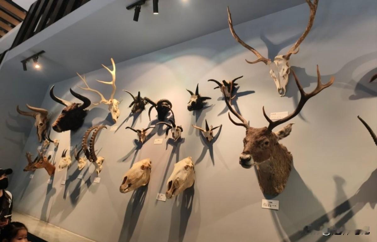 晒图笔记大赛这就是我的实拍图，这张图片虽然说显得有些科幻，其实它是在我博物馆拍到