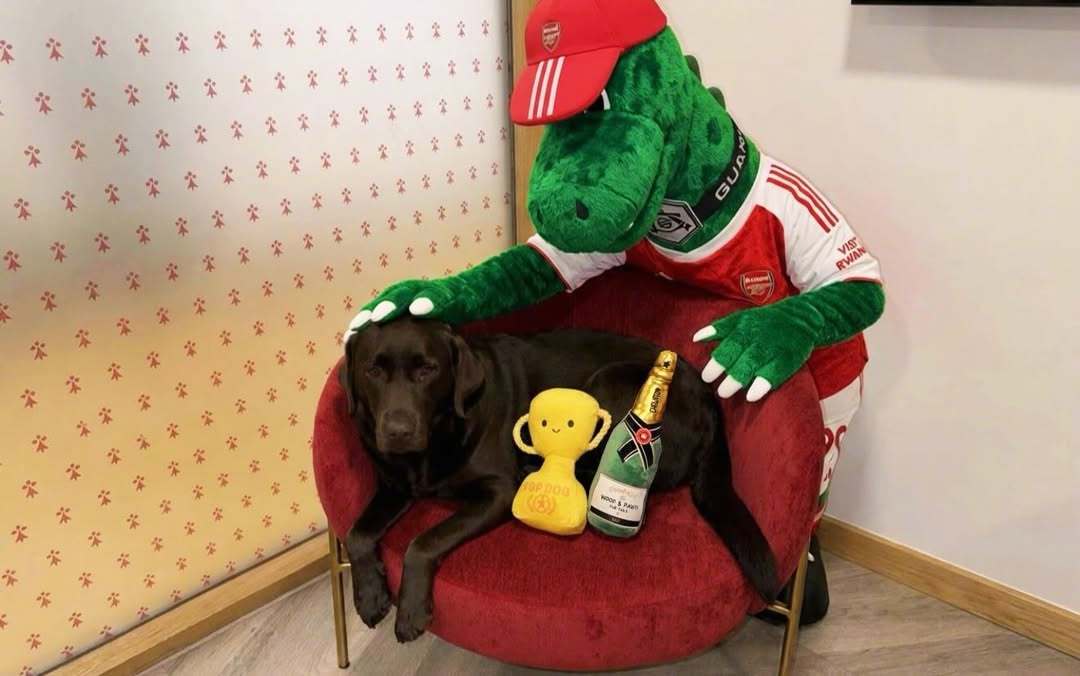 🔴⚪冠军小狗上线👆有请备受欢迎的女明星WIN登场👏英超联赛马上见分晓
