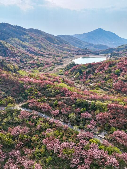 宁波爬山徒步｜今日四明山 不来还要等明年吗