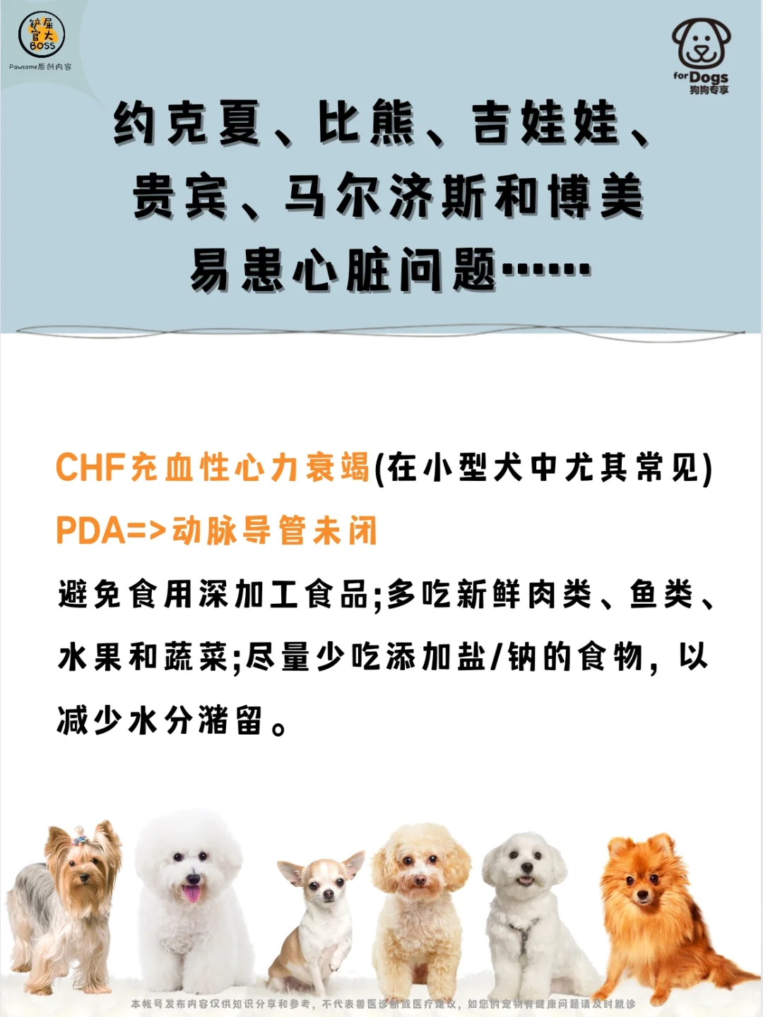 容易患心脏问题的狗狗品种……