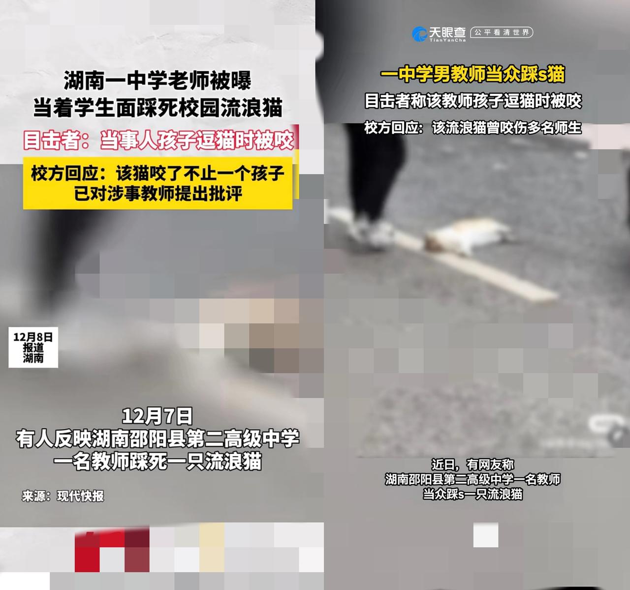 老师踩死校园猫？教育最该教的敬畏，不能用暴力摧毁！
 
         真的越