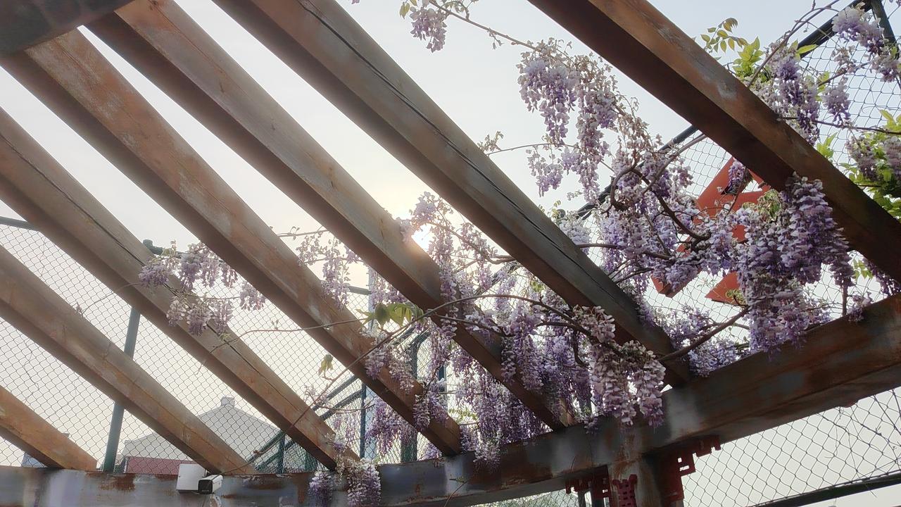 致良知，从心出发…
一位商人面临一个巨大的诱惑：一笔不义之财可以让他一夜暴富。但