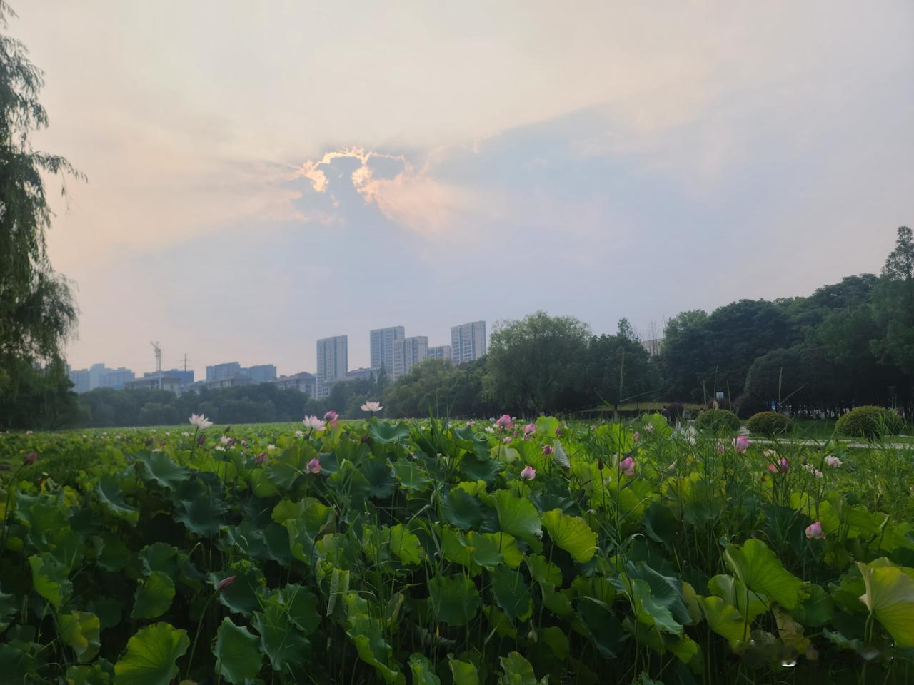 别让老套路和宏大叙事，堵住通往欧美市场的路好吗？

随着网络越来越发达，很多事大